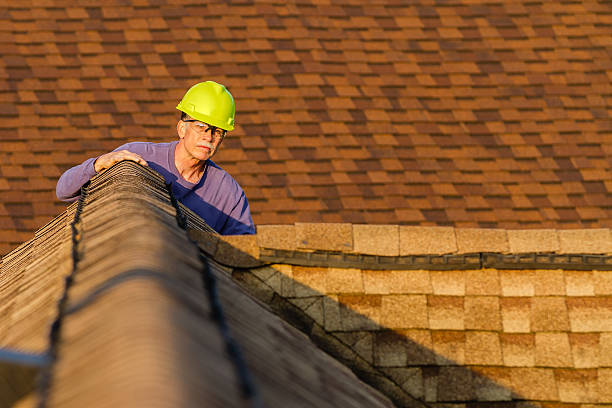 Best Roof Maintenance Services  in Horse Pasture, VA