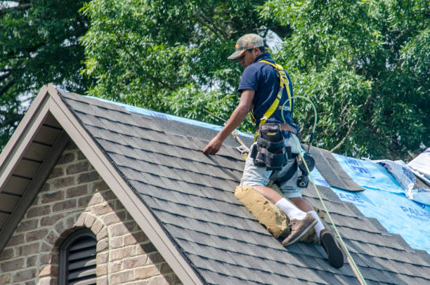 Best Emergency Roof Repair  in Horse Pasture, VA